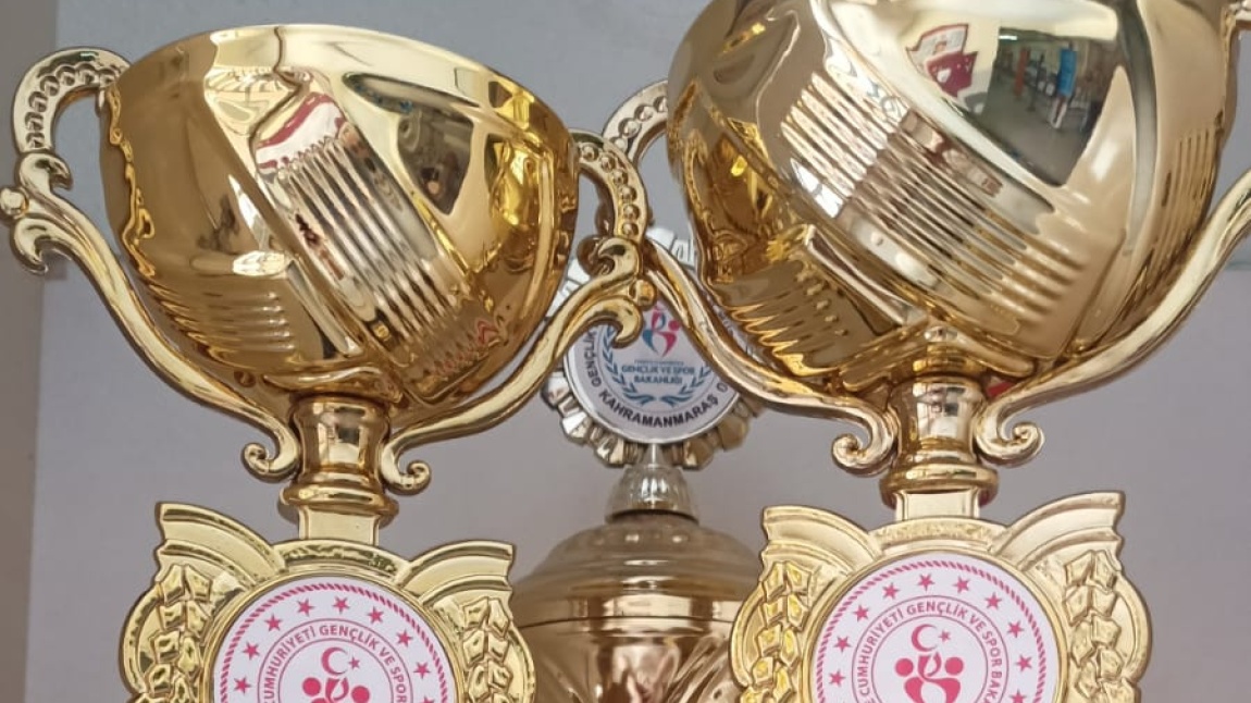 SATRANÇ TURNUVALARI VE OKUL SPORLARI 
